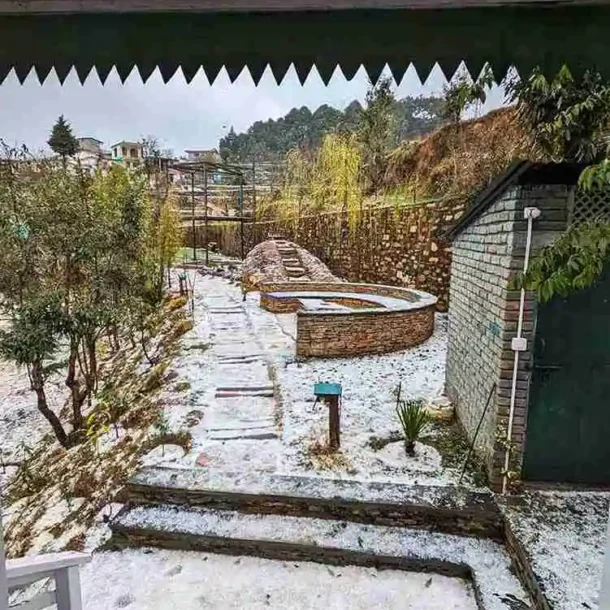 View of the garden after a hailstorm in Feb 2024