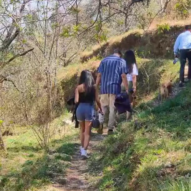 A short hike through the village