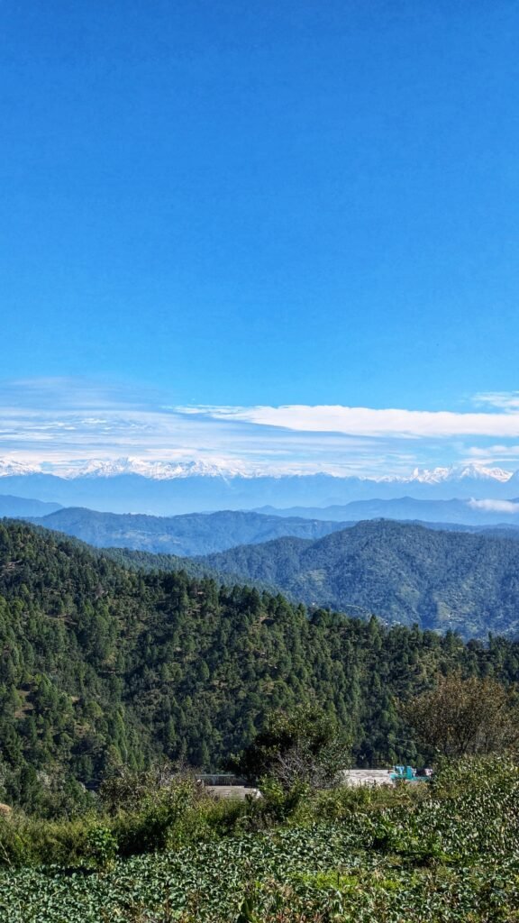 Admire the Himalayan peaks of Trishul, Nanda Devi, Panchachuli from the property